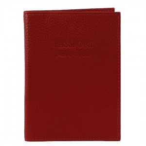 Pierre Cardin Leather Passport Wallet Cover Red | WBJQX9752